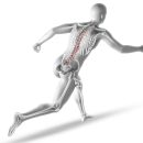 SKOLYOZ EGZERSİZLERİ: HAFTALIK YAPILMALI MI?